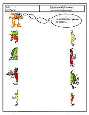 Eşleştirme Çalışmaları